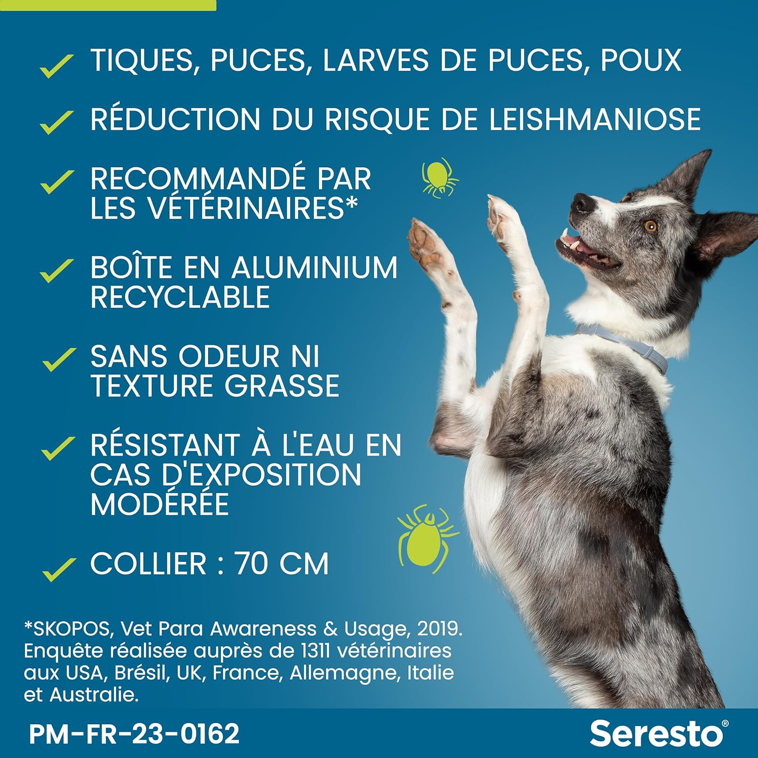 Seresto - Collier grands chiens - 70 cm - anti-puces/tiques, 8 mois protection