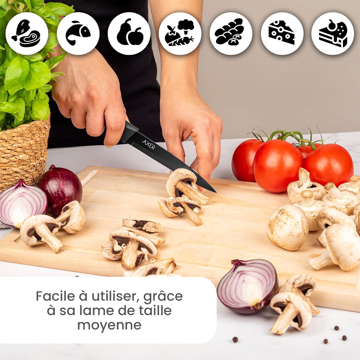 Axer - Couteau Professionnel 12 cm - lame polyvalente fruits, légumes, viande - Manche noir