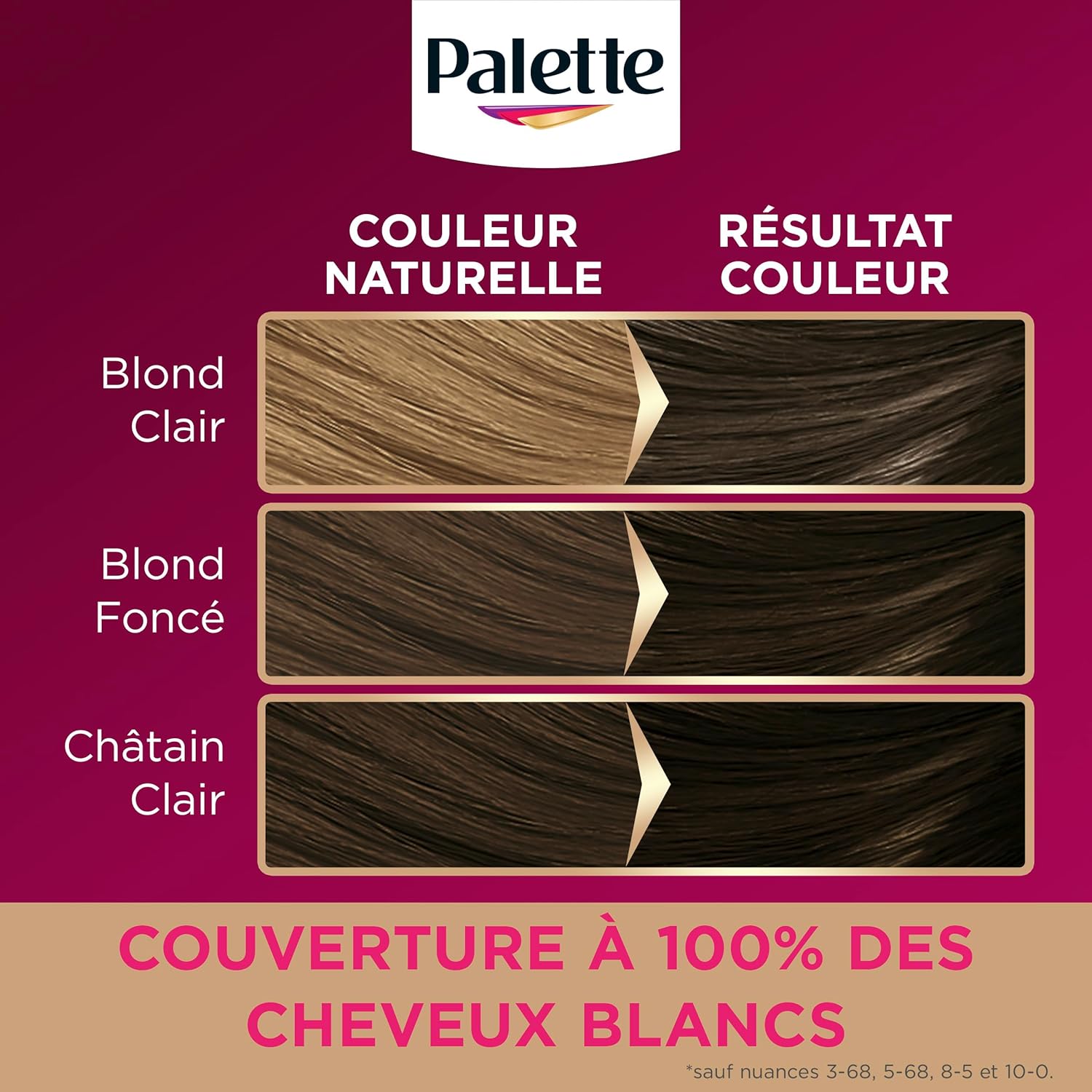 Palette - Intensive Coloration Permanente Cheveux, 8 sem, Blond Foncé 500