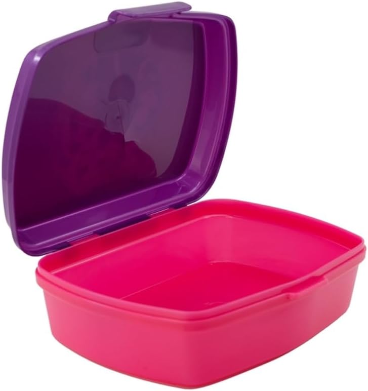 Boîte à sandwich rectangulaire multicolore, 16,5x11,5x5,5cm, réutilisable, sans BPA