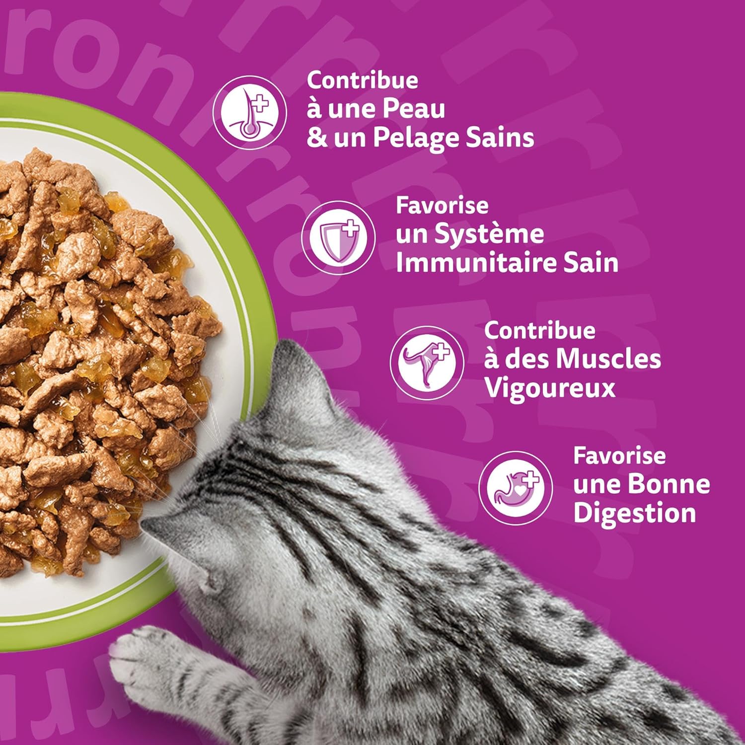 WHISKAS - Repas La Carte Mixte - 48 sachets - pâtée adulte chat stérilisé, 4 variétés