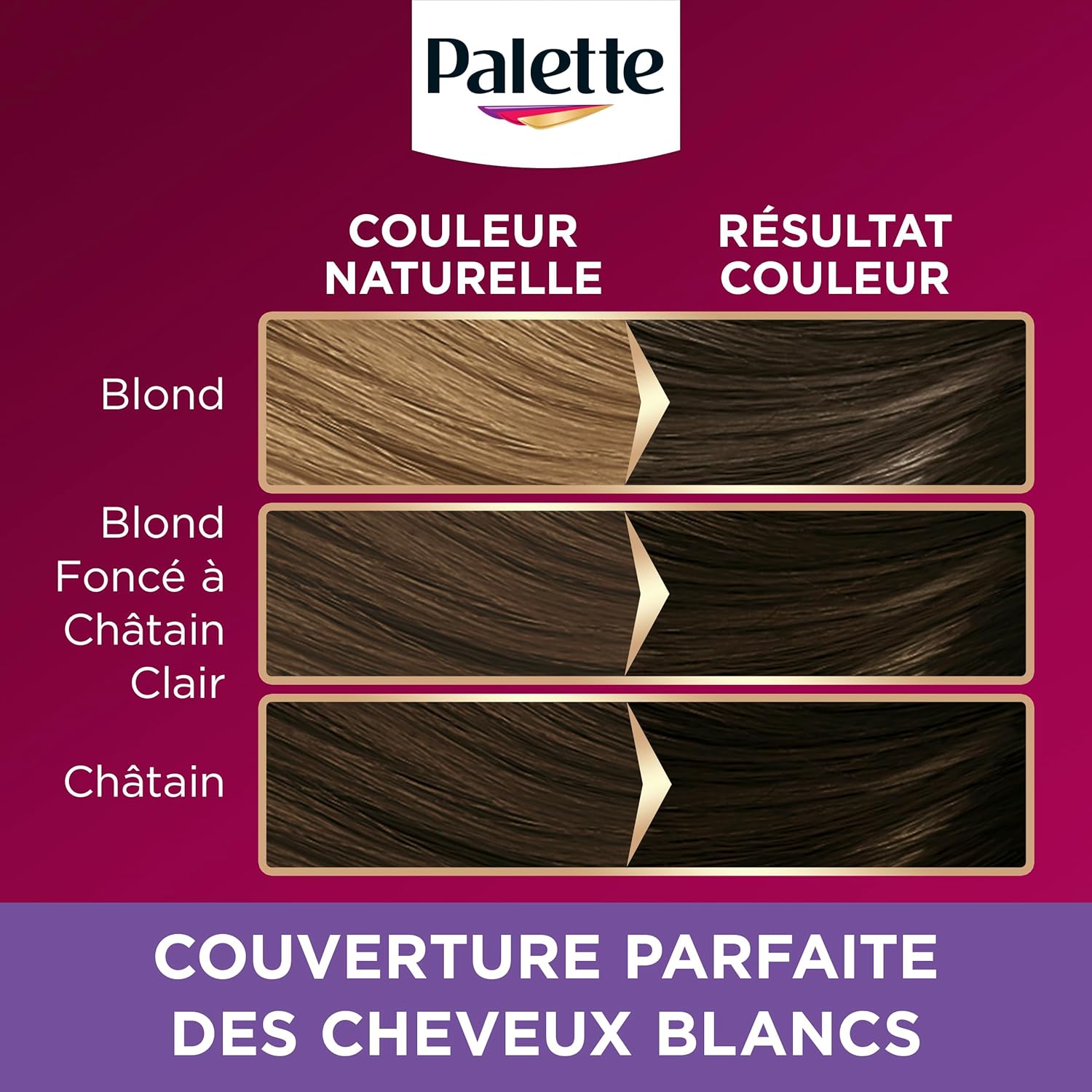 Palette - Intensive coloration permanente cheveux, longue tenue, Chocolat Griotte 878