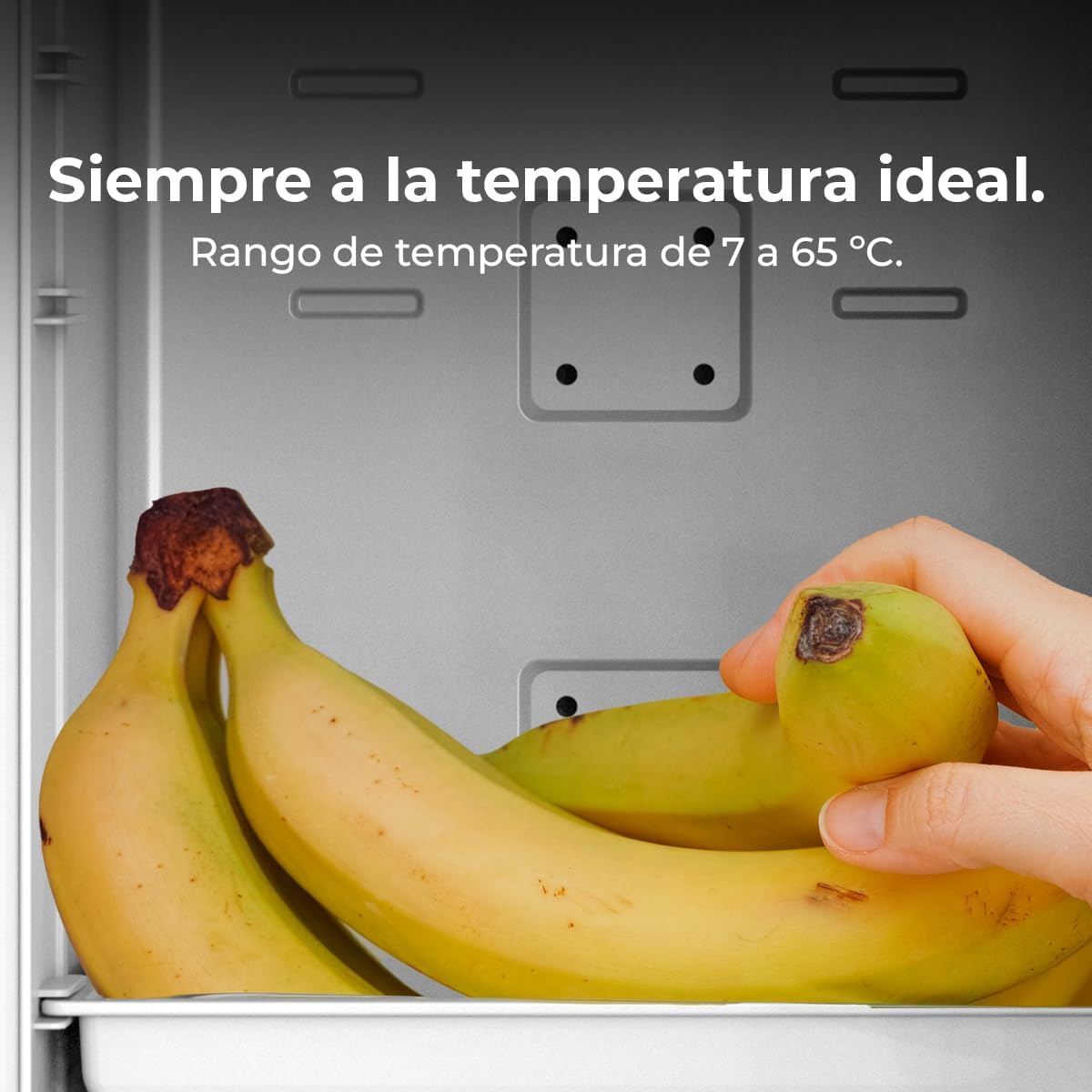 Cecotec - Bolero MiniCooling 25L - compact, 12V/220V, chauffe/refroidit