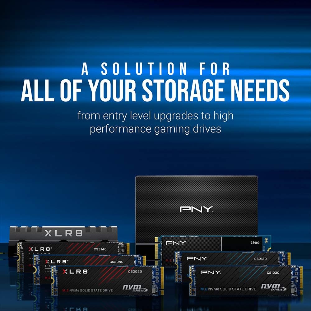 PNY - SSD CS900 M.2 SATA III 1To, 535Mo/s, 515Mo/s - M280CS900-1TB-RB