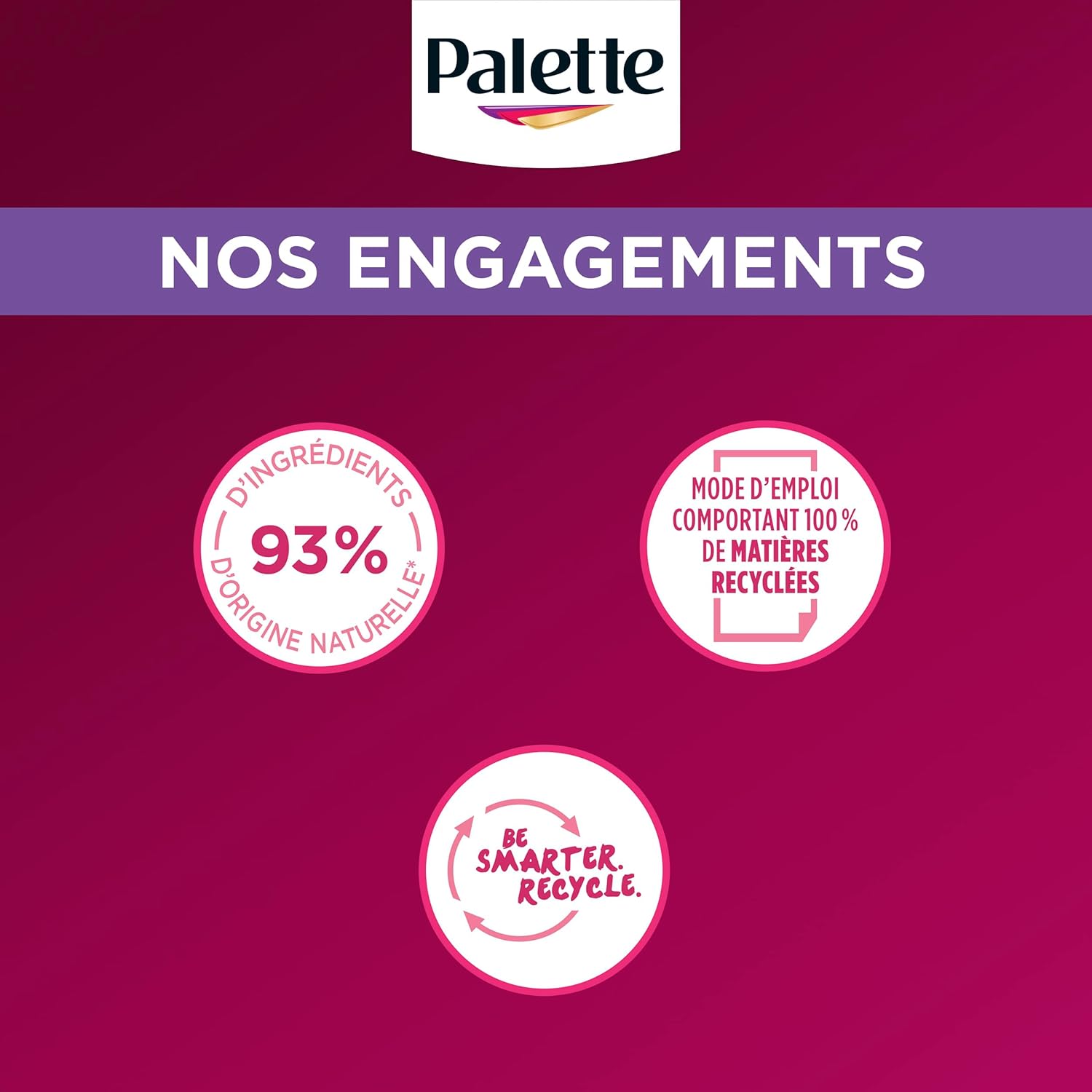 Palette - Intensive coloration permanente cheveux, longue tenue, Chocolat Griotte 878