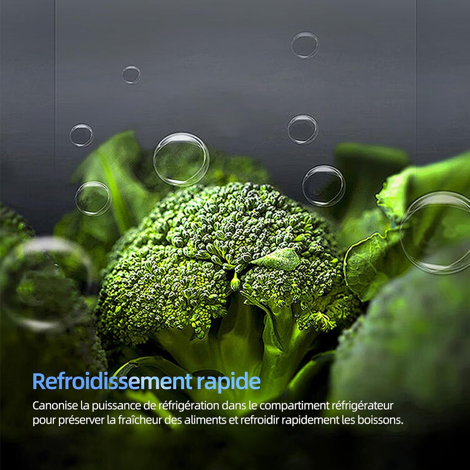 Magictec - réfrigérateur encastrable 178 cm - 236L, no frost, 2 portes, classe D