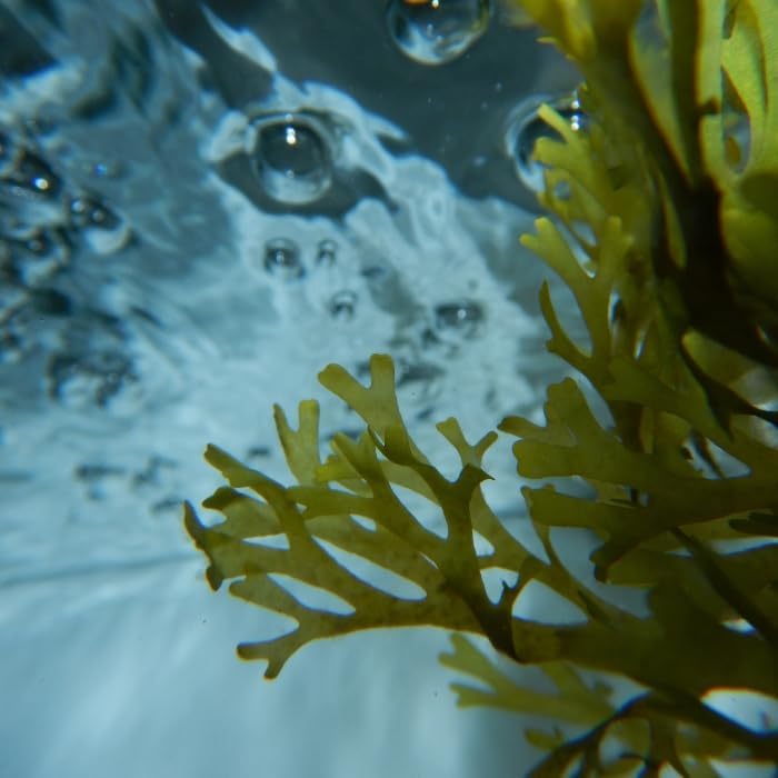 Urban Keratin - Ocean Therapy Soin Complet - 6x400ml - hydratant, nourrissant