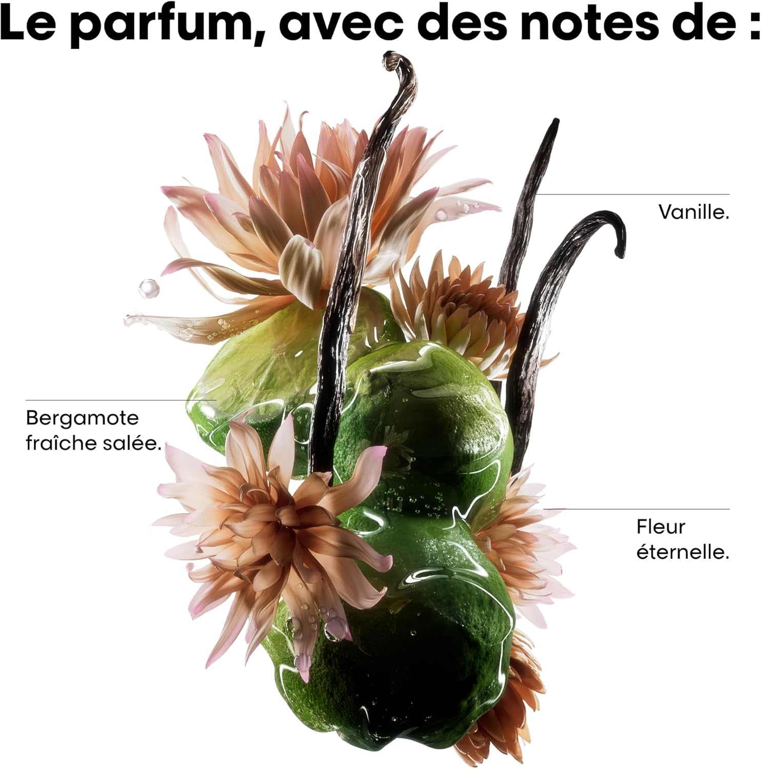 L'Oréal - Absolut Repair Molecular - routine réparatrice, douceur, force