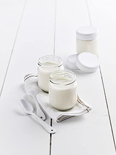 LAGRANGE - Ferment yaourt BIO - 3x12g - Français, 1,5L lait - 385001