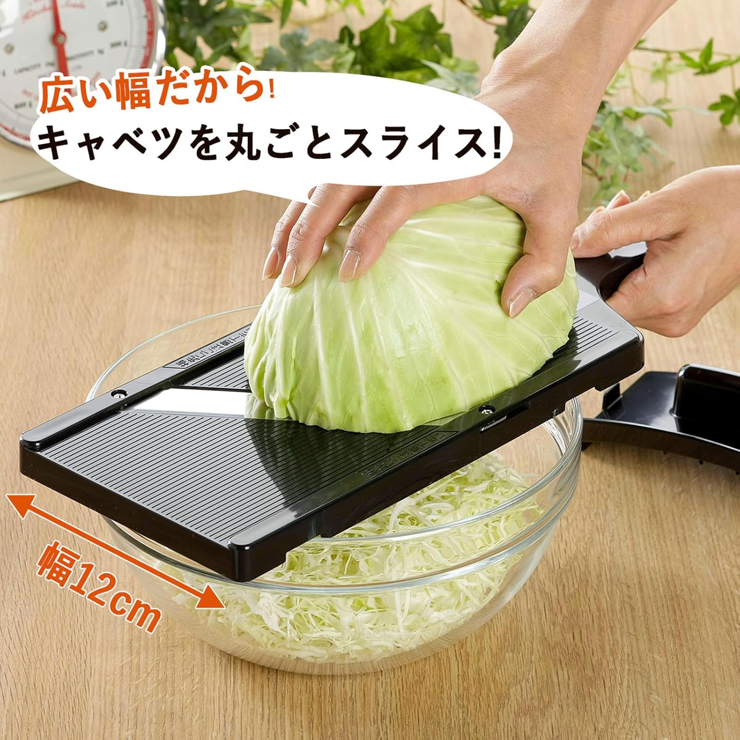 Shimomura - Cabbage Shredder - acier inox, lame japonaise - coupes fines